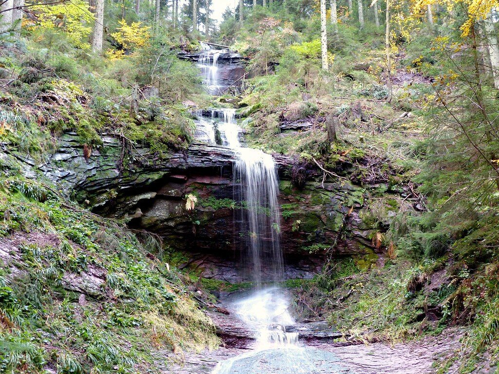 A photograph of a waterfall cascading down rocks in a rich green forest setting' style='width: 80%;